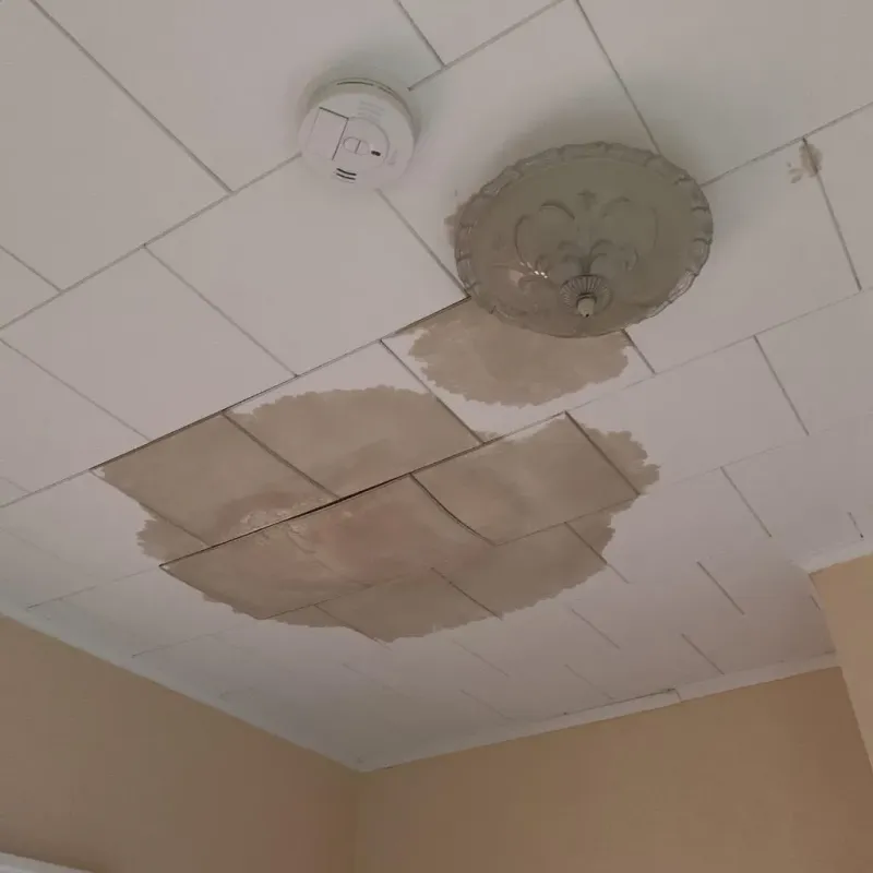 Ceiling Water Damage Repair in Pelham, NH