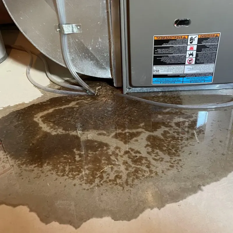 Pipe Burst and Leak Restoration in Pelham, NH